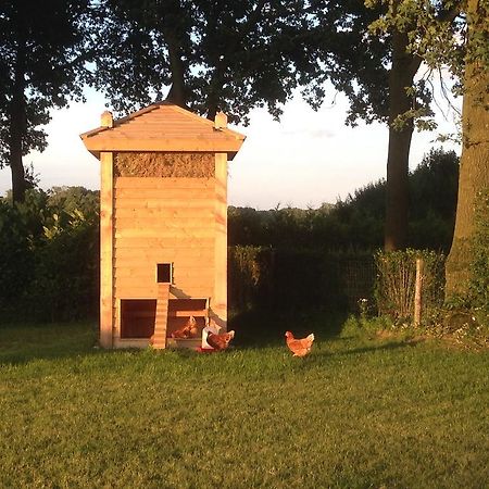 Bed and Breakfast Bed En Boterham Hoeve Boord Ven Эрсел Экстерьер фото