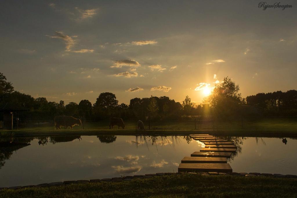 Bed and Breakfast Bed En Boterham Hoeve Boord Ven Эрсел Экстерьер фото